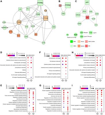 Cellular Interaction Analysis Characterizing Immunosuppressive Microenvironment Functions in MM Tumorigenesis From Precursor Stages